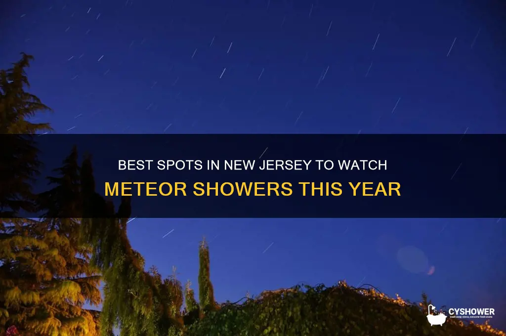 where to see meteor shower nj