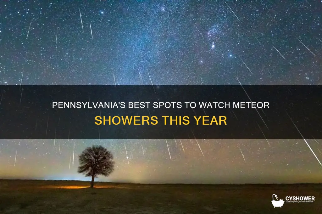 where to see meteor shower pennsylvania