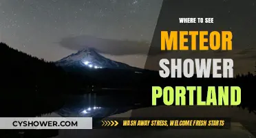 Best Spots in Portland to Watch Meteor Showers This Year