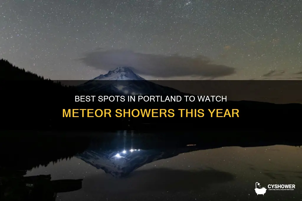where to see meteor shower portland