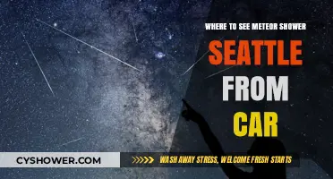 Best Seattle Meteor Shower Viewing Spots for Car Enthusiasts