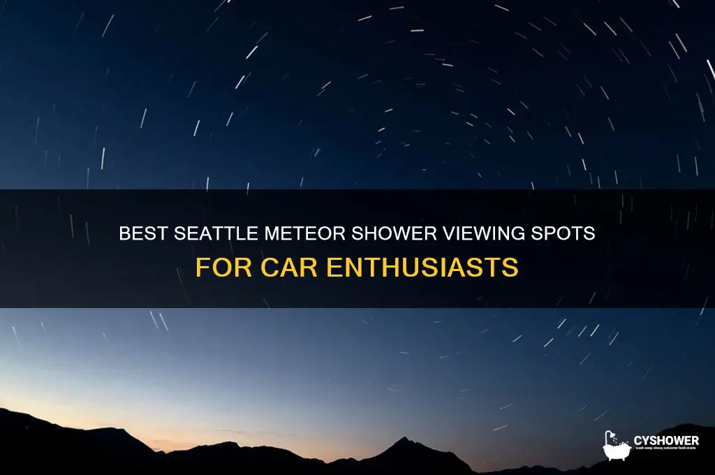 where to see meteor shower seattle from car