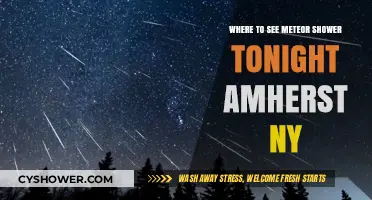 Best Meteor Shower Viewing Spots Tonight in Amherst, NY