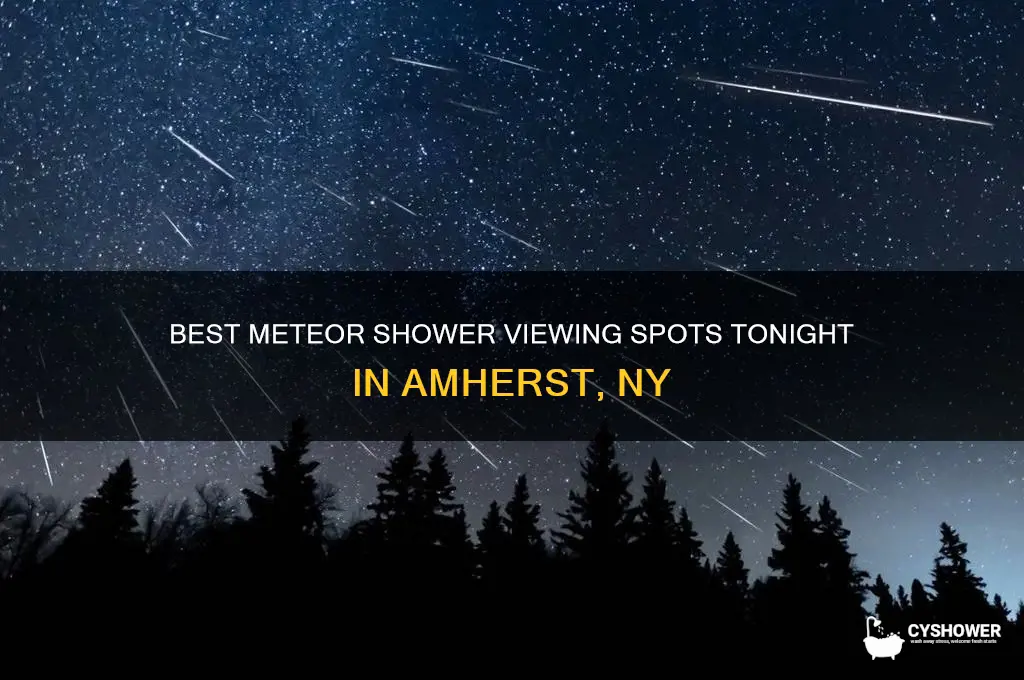 where to see meteor shower tonight amherst ny