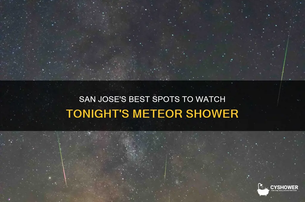 where to see meteor shower tonight san jose