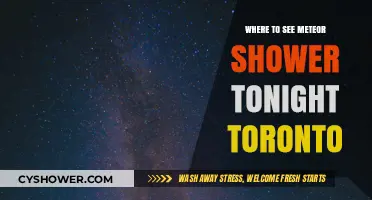 Toronto's Night Sky: Best Spots to Watch Tonight's Meteor Shower