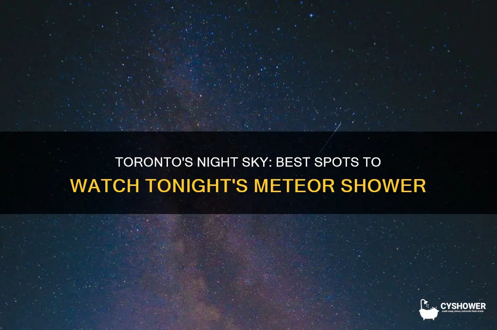 where to see meteor shower tonight toronto