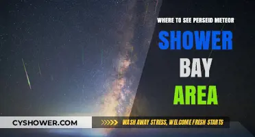 Best Bay Area Spots to Watch the Perseid Meteor Shower