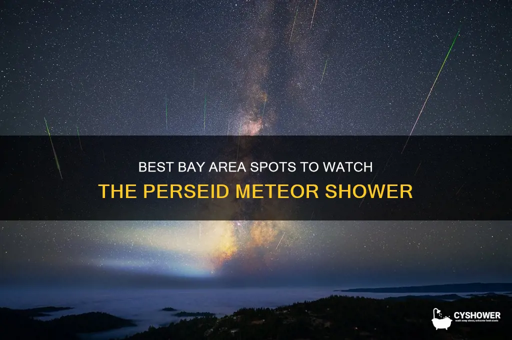 where to see perseid meteor shower bay area