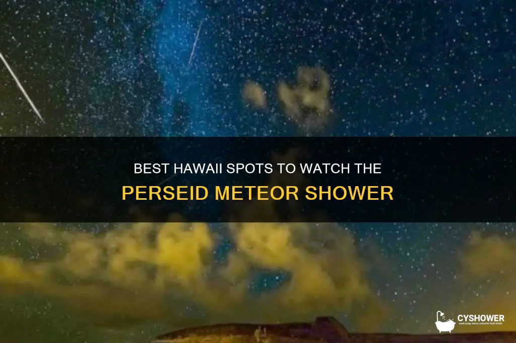 where to see perseid meteor shower hawaii