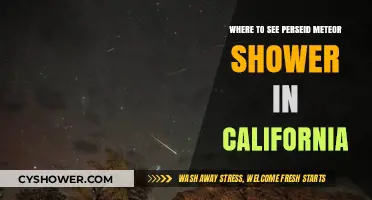 Best California Spots to Watch the Perseid Meteor Shower