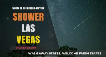 Best Las Vegas Spots to Watch the Perseid Meteor Shower