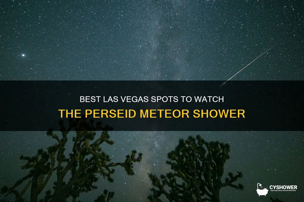 where to see perseid meteor shower las vegas