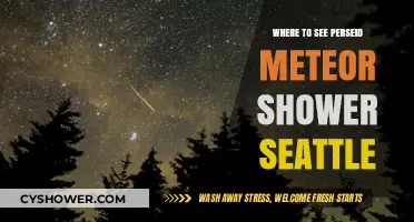 Best Seattle Spots to Watch the Perseid Meteor Shower
