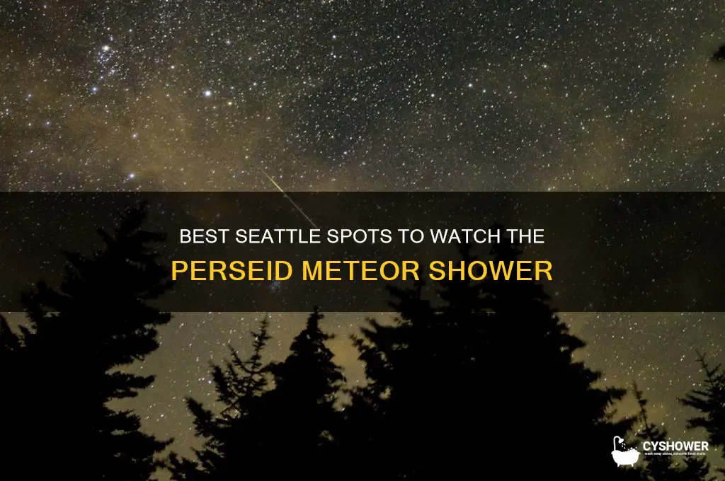 where to see perseid meteor shower seattle