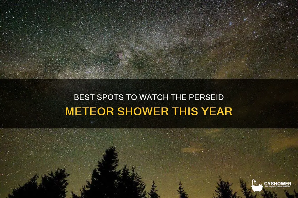 where to see perseid meteor shower