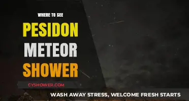 Best Spots to Witness the Breathtaking Perseid Meteor Shower