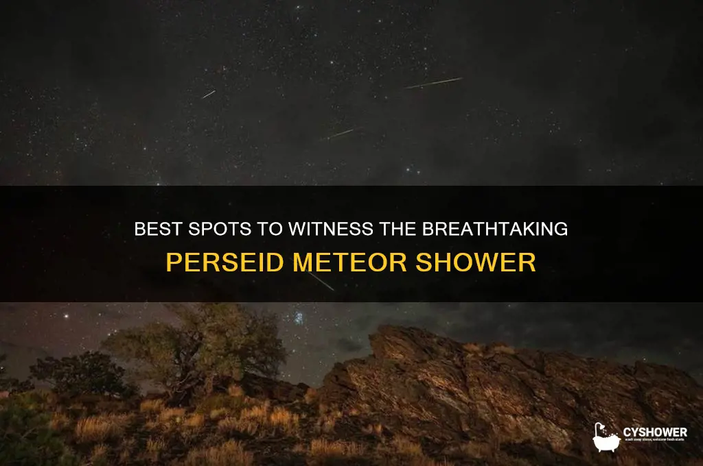 where to see pesidon meteor shower