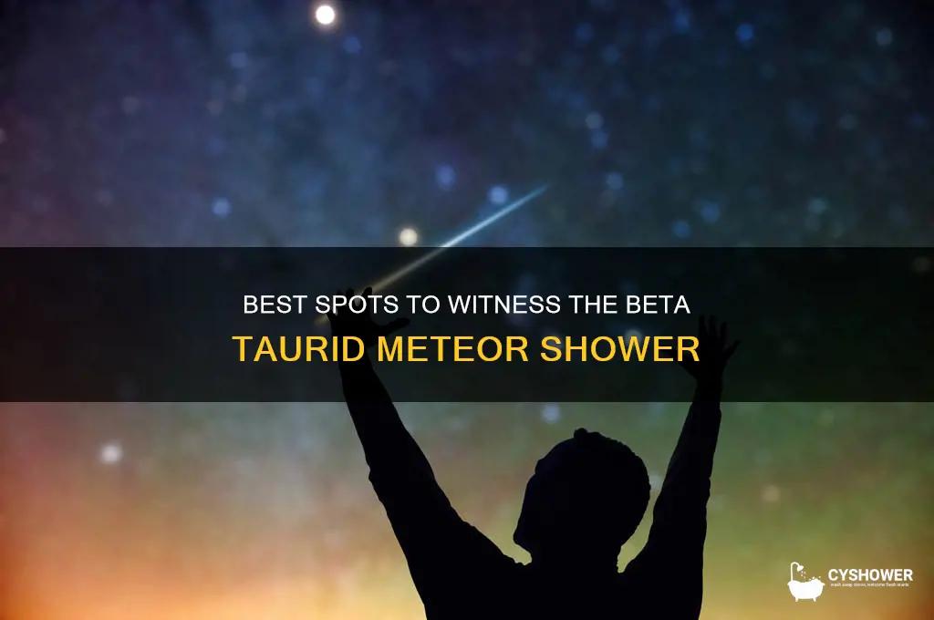 where to see the beta taurid meteor shower