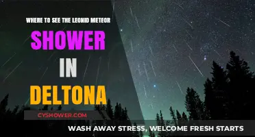 Best Spots in Deltona to Witness the Leonid Meteor Shower
