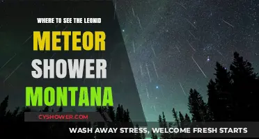 Montana's Best Spots to Watch the Leonid Meteor Shower
