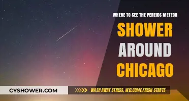 Best Spots Near Chicago to Watch the Perseids Meteor Shower