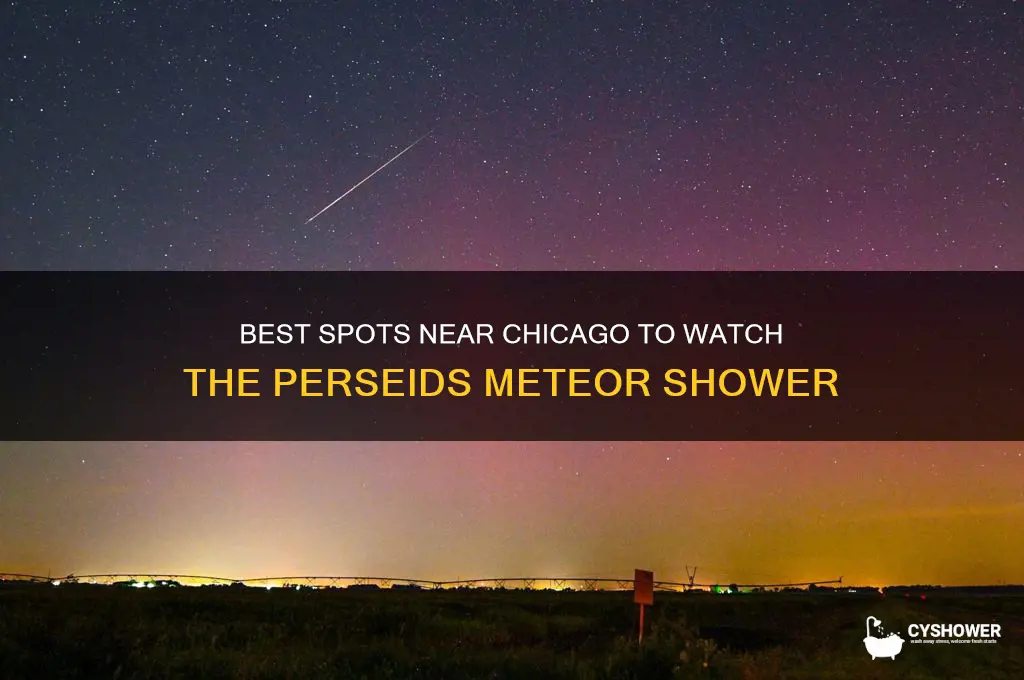 where to see the pereids meteor shower around chicago