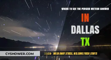 Best Spots in Dallas, TX to Watch the Perseid Meteor Shower