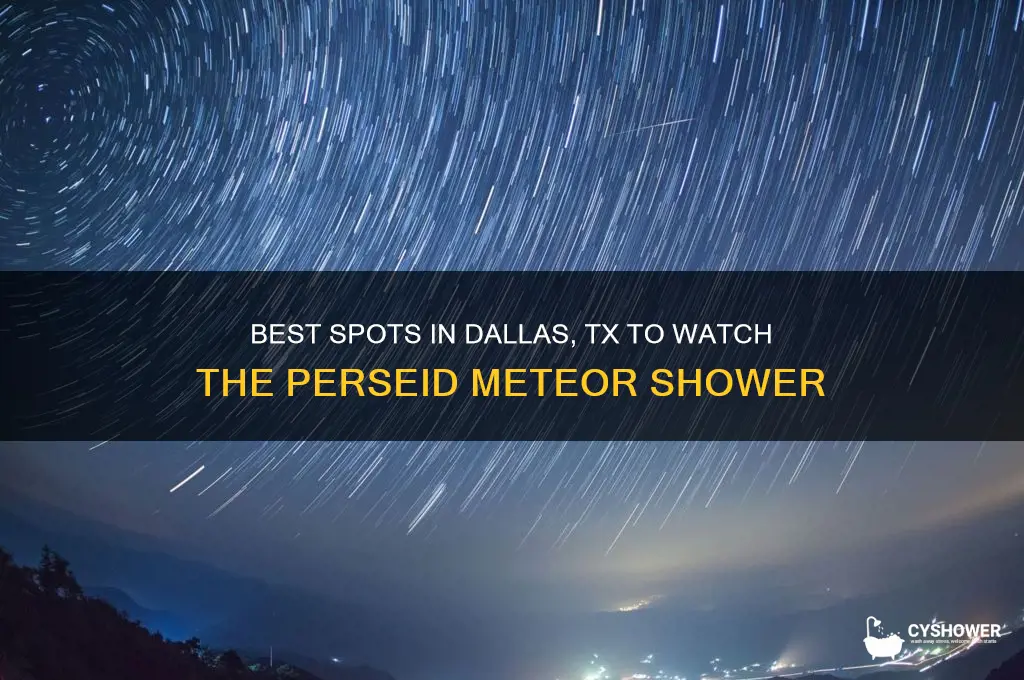 where to see the perseid meteor shower in dallas tx