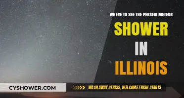 Best Illinois Spots to Watch the Perseid Meteor Shower
