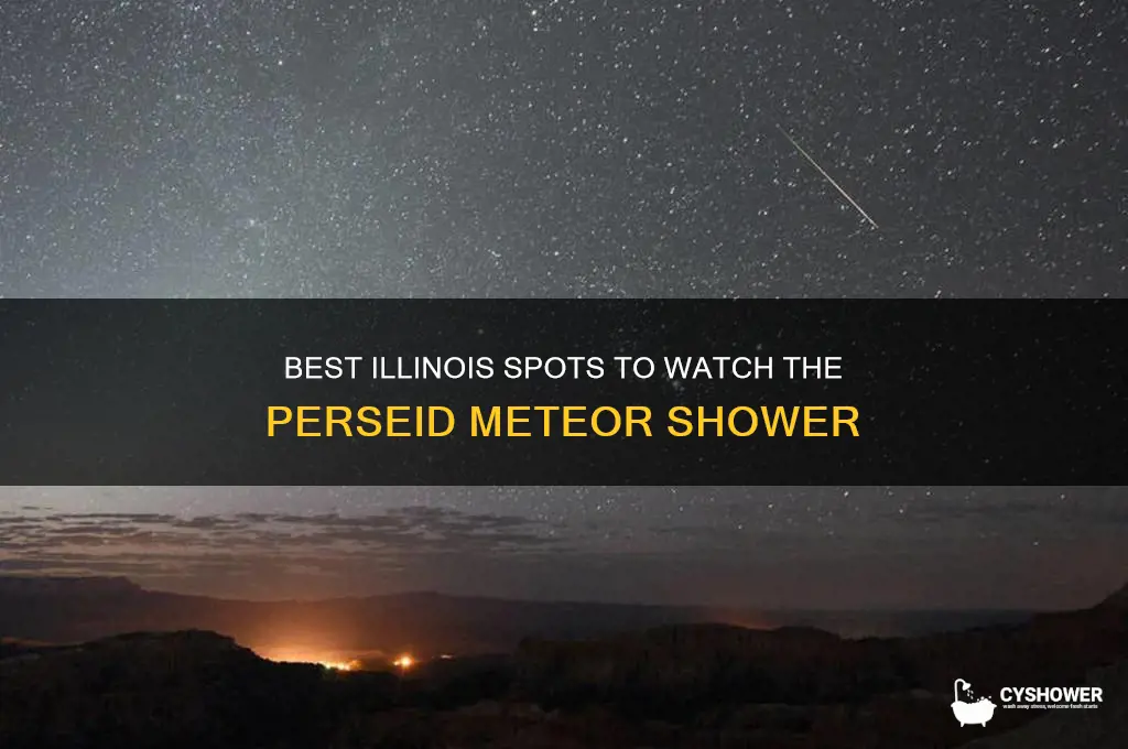 where to see the perseid meteor shower in illinois