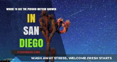 Best San Diego Spots to Watch the Perseid Meteor Shower