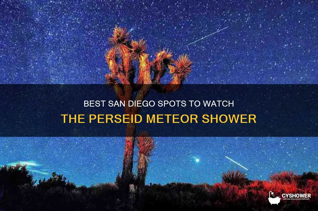 where to see the perseid meteor shower in san diego