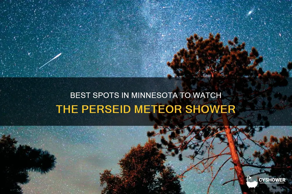 where to see the perseid meteor shower mn