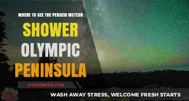 Best Olympic Peninsula Spots for Perseid Meteor Shower Viewing