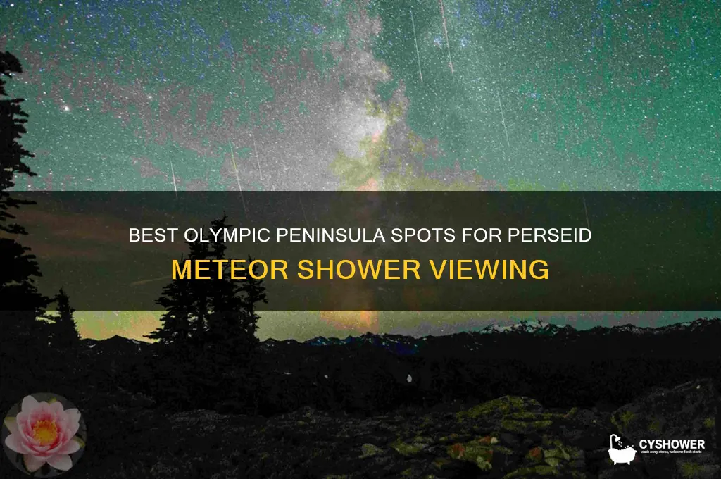 where to see the perseid meteor shower olympic peninsula