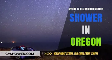 Unicorn Meteor Shower: Best Viewing Spots in Oregon
