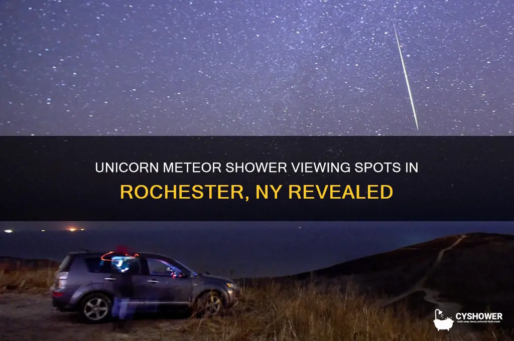 where to see unicorn meteor shower in rochester ny