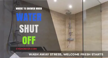 No Water? No Problem: Alternative Shower Solutions During Shut-Off