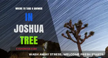 Joshua Tree Shower Guide: Best Spots to Freshen Up Outdoors