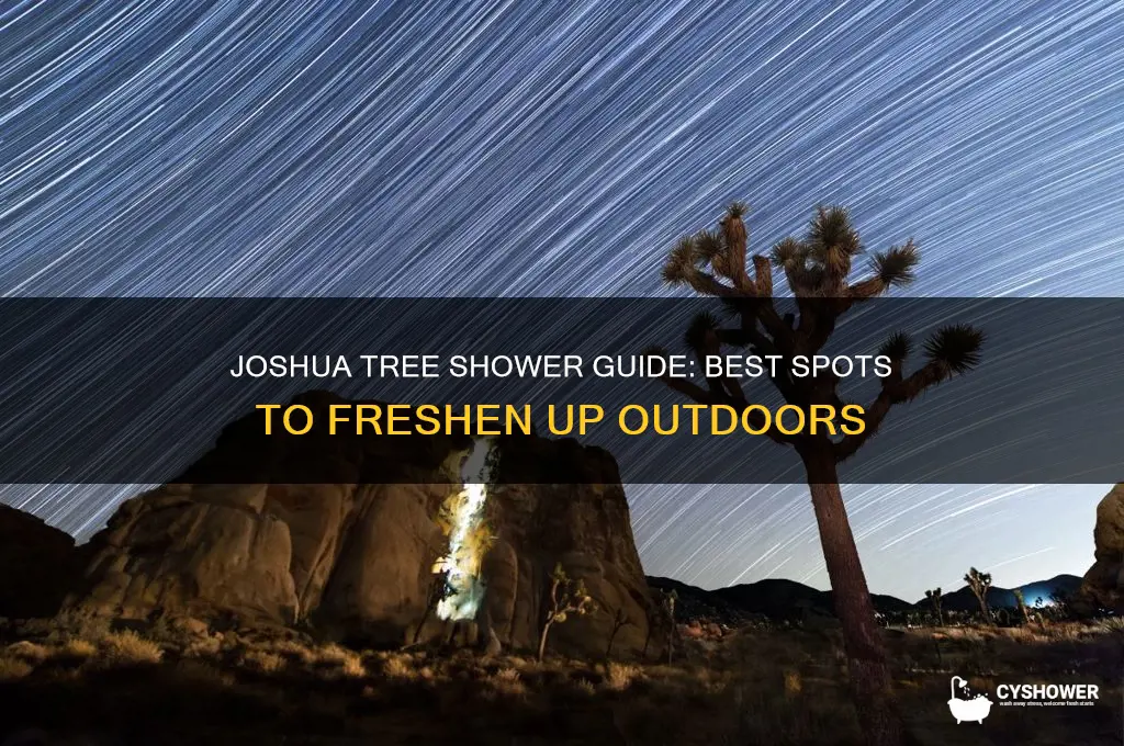 where to take a shower in joshua tree