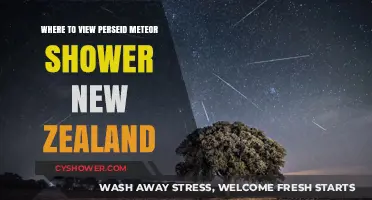 Best Spots in New Zealand to Watch the Perseid Meteor Shower