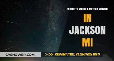 Best Spots to Watch Meteor Showers in Jackson, MI