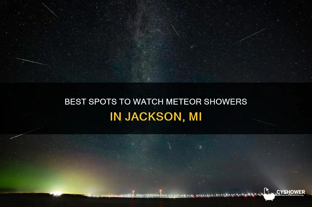 where to watch a meteor shower in jackson mi