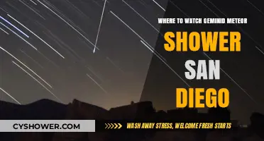 Best San Diego Spots to Watch the Geminid Meteor Shower