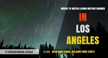 Best Spots in Los Angeles to Watch the Leonid Meteor Shower