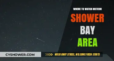 Best Bay Area Spots to Watch the Meteor Shower Tonight