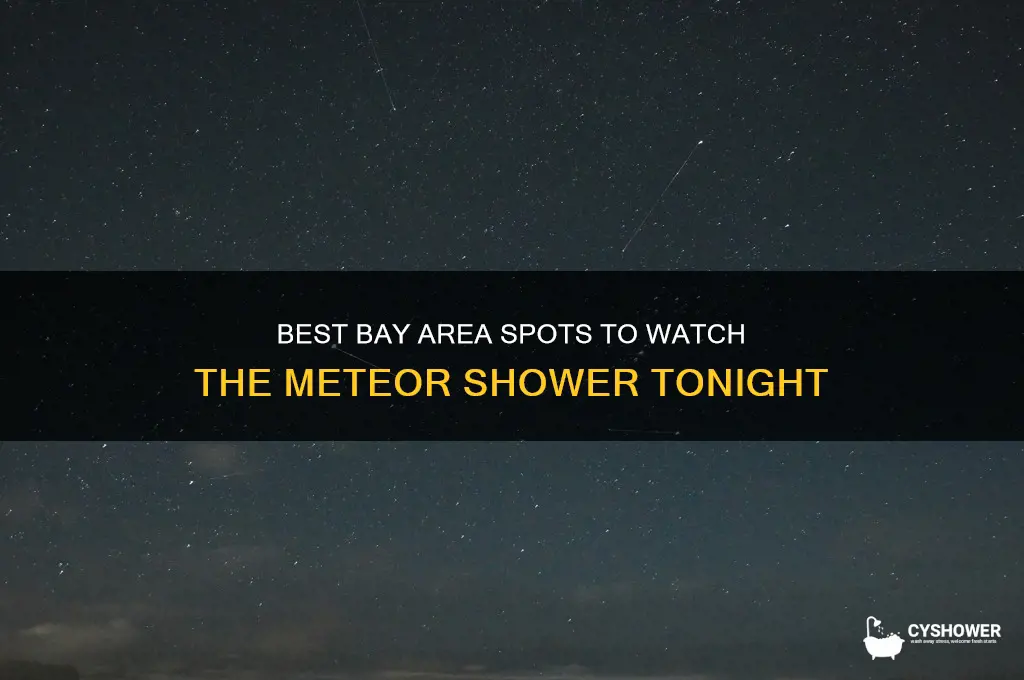 where to watch meteor shower bay area