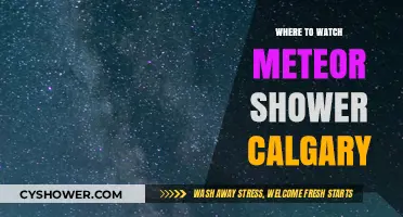 Calgary's Best Spots to Watch the Meteor Shower This Year