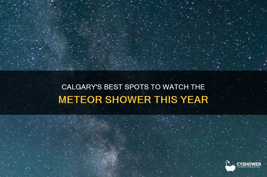 where to watch meteor shower calgary
